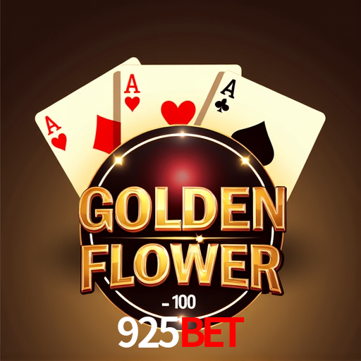 Interface Premium 925bet